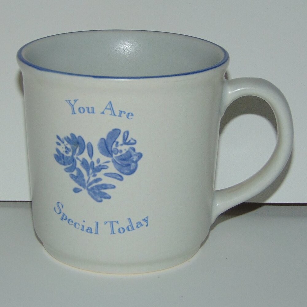 Pfaltzgraff Yorktowne 3 1/2 Inch 10oz Mug You Are Special Today Good Condition